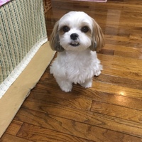 パル