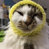 wanwannekomama