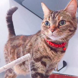 ♀４才のマロです。