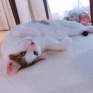 ♂5才のレオです。