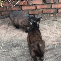 「いろいろあるもんなんですね〜？」サムネイル1