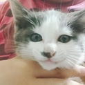 生後2カ月可愛い男の子です！