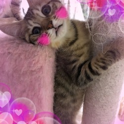 もうすぐ