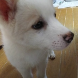 甘えたいんだあ～僕！！