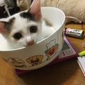 ありがとうございました