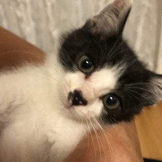 ゴロゴロ甘えん坊