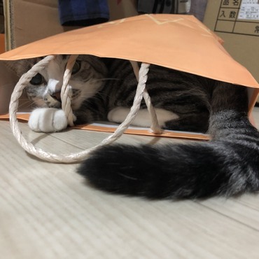 気がついたらここにいました