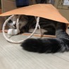気がついたらここにいました