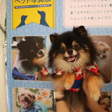 の写真