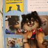 の写真