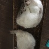 仲がいいのか悪いのか(^^)