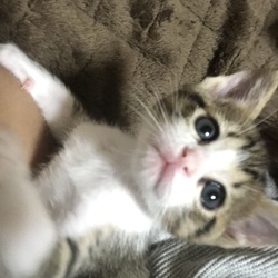 おめでとう 特大うんち♪