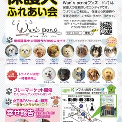 保護犬ふれあい会