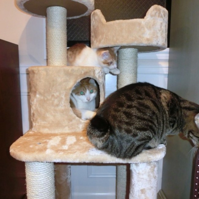 Ryo.mのカバー写真