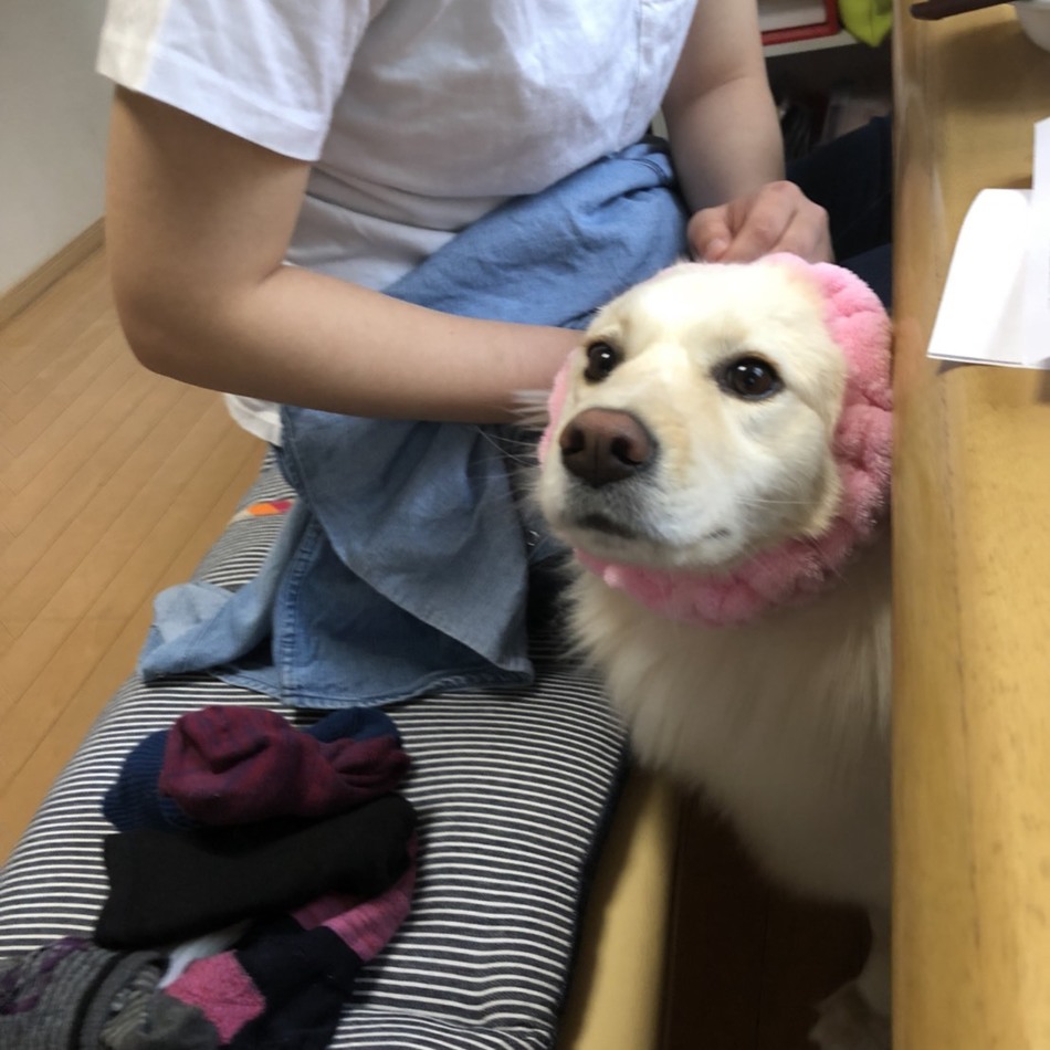 松本ハルのカバー写真