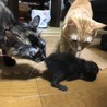き〜ちゃん