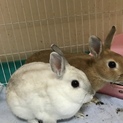 可愛がってくれる方募集中☆