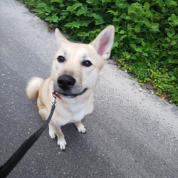 引越しました。