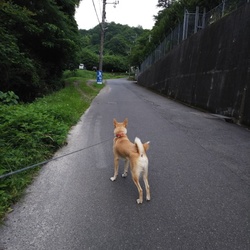 「引越しました。」サムネイル2