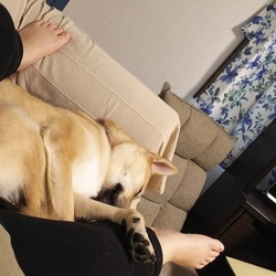 「引越しました。」サムネイル3