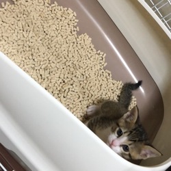 おめでとう〜！