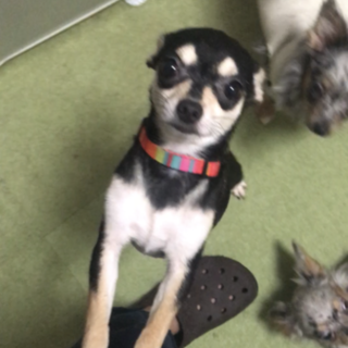 住むところが無くなります。