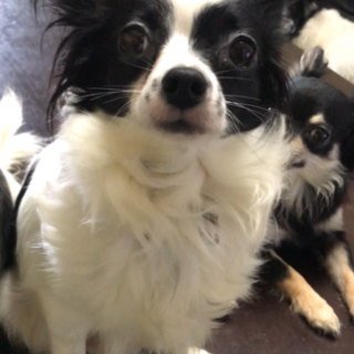 住むところが無くなります。