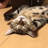  さん