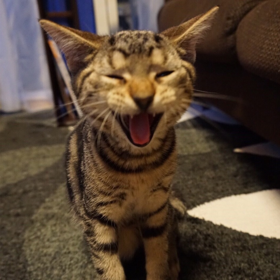 のあのカバー写真