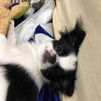 うーたん