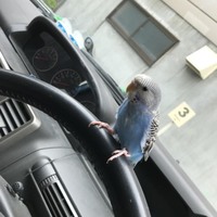 あめ
