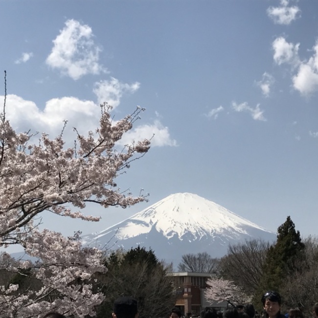 ベルママ♪のカバー写真