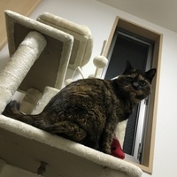 ミロ