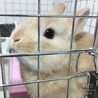 あっぷ