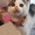 可愛すぎる兄弟❤︎