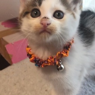可愛すぎる兄弟❤︎