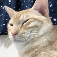ラテ