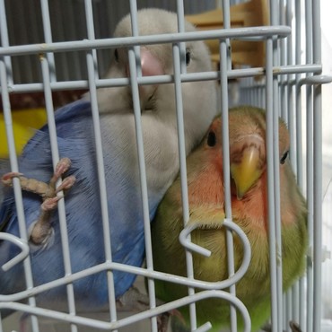 2018616ねー遊ぼううよ！出して‼