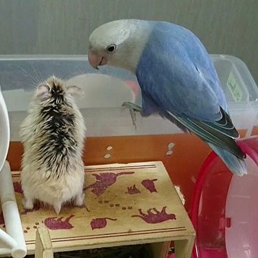 2018616何見てるの？