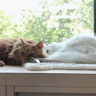 緑眩しい梅雨の晴れ間