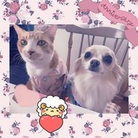 りん