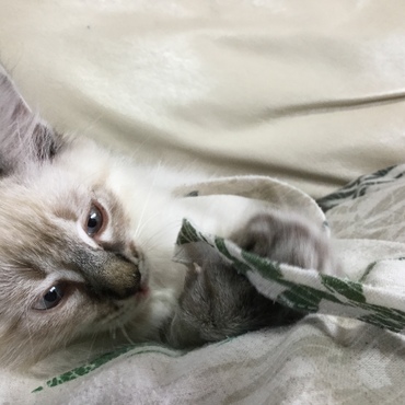 のんびりしてくれました。