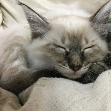 はじめて寝ました