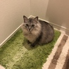 @すずき