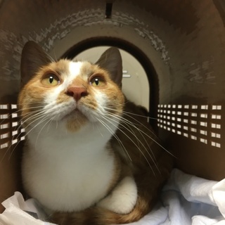 たくさん甘えたいと思ってます