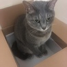うさちょろ
