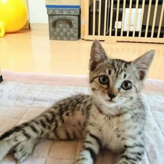 遊ぶの大好き！ルビーちゃん☆