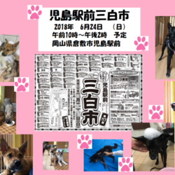 倉敷市児島駅前三白市 倉敷市保健所ボランティアKAR譲渡会