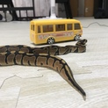 ボールパイソンベビー