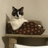 仕方ないな！